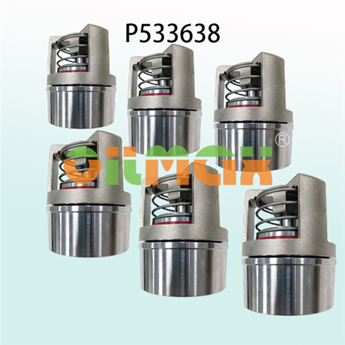 P533638 Saugventil P533639 Auslassventil